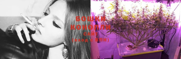 амф Пестово